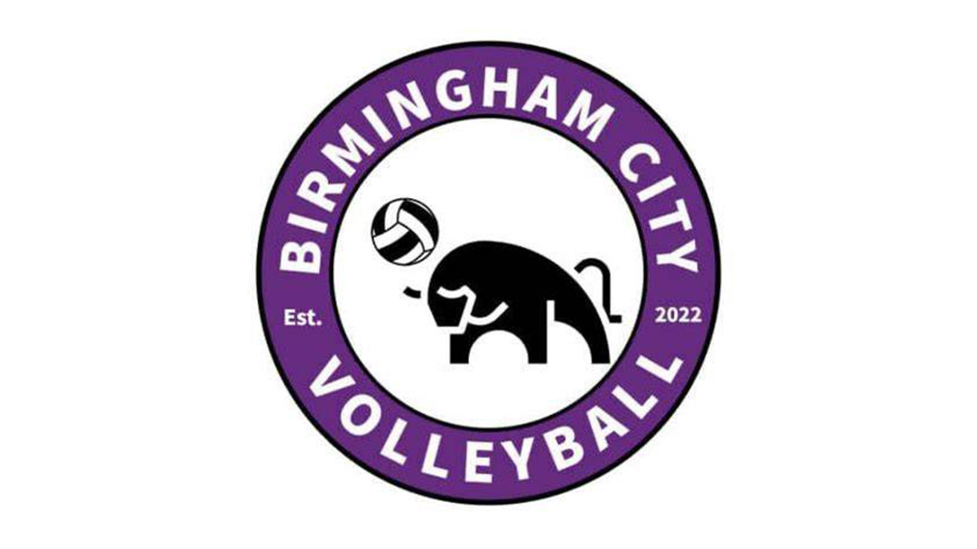 Birmingham City Volleyball landscape