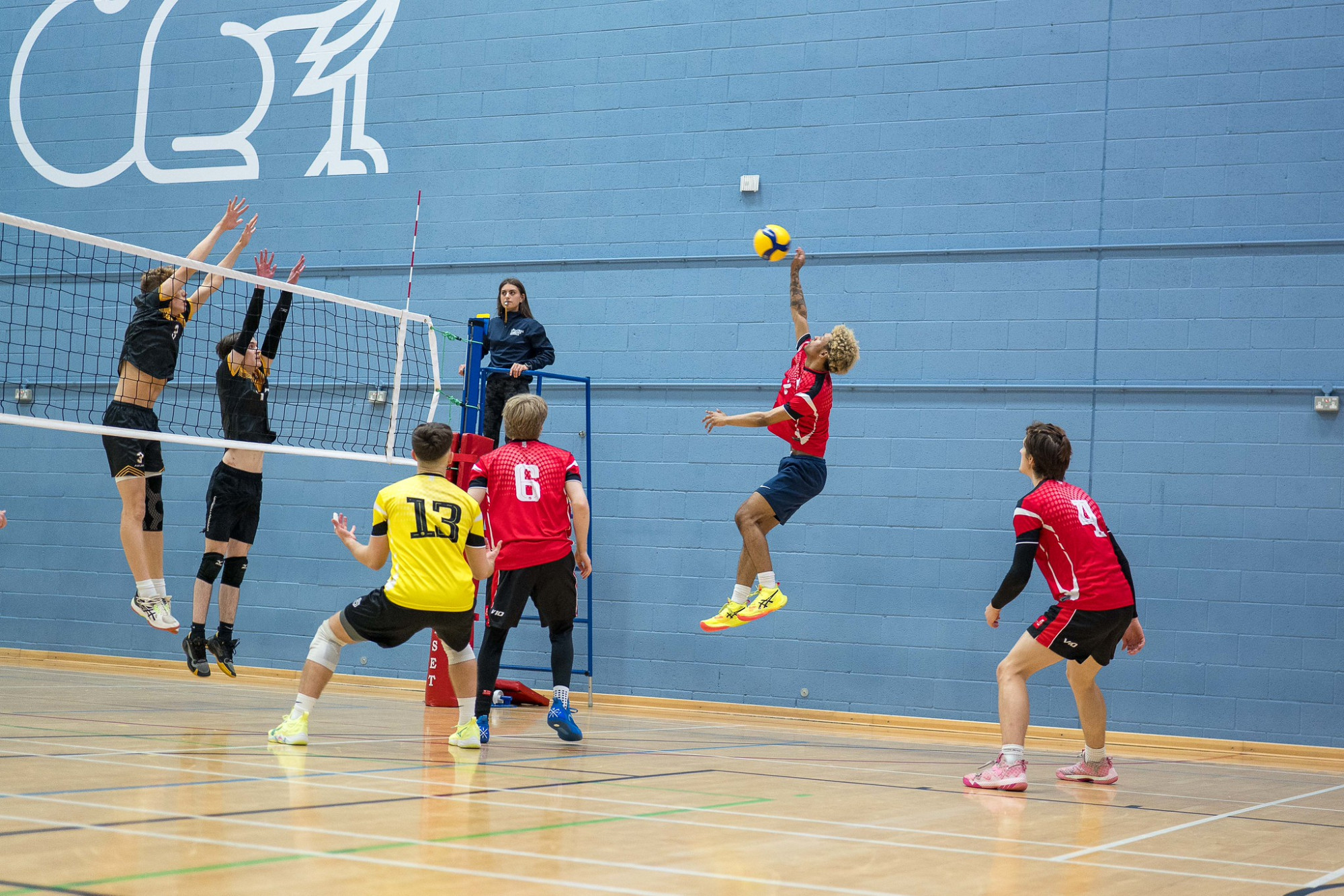 54154819501_bc7081ec02_k