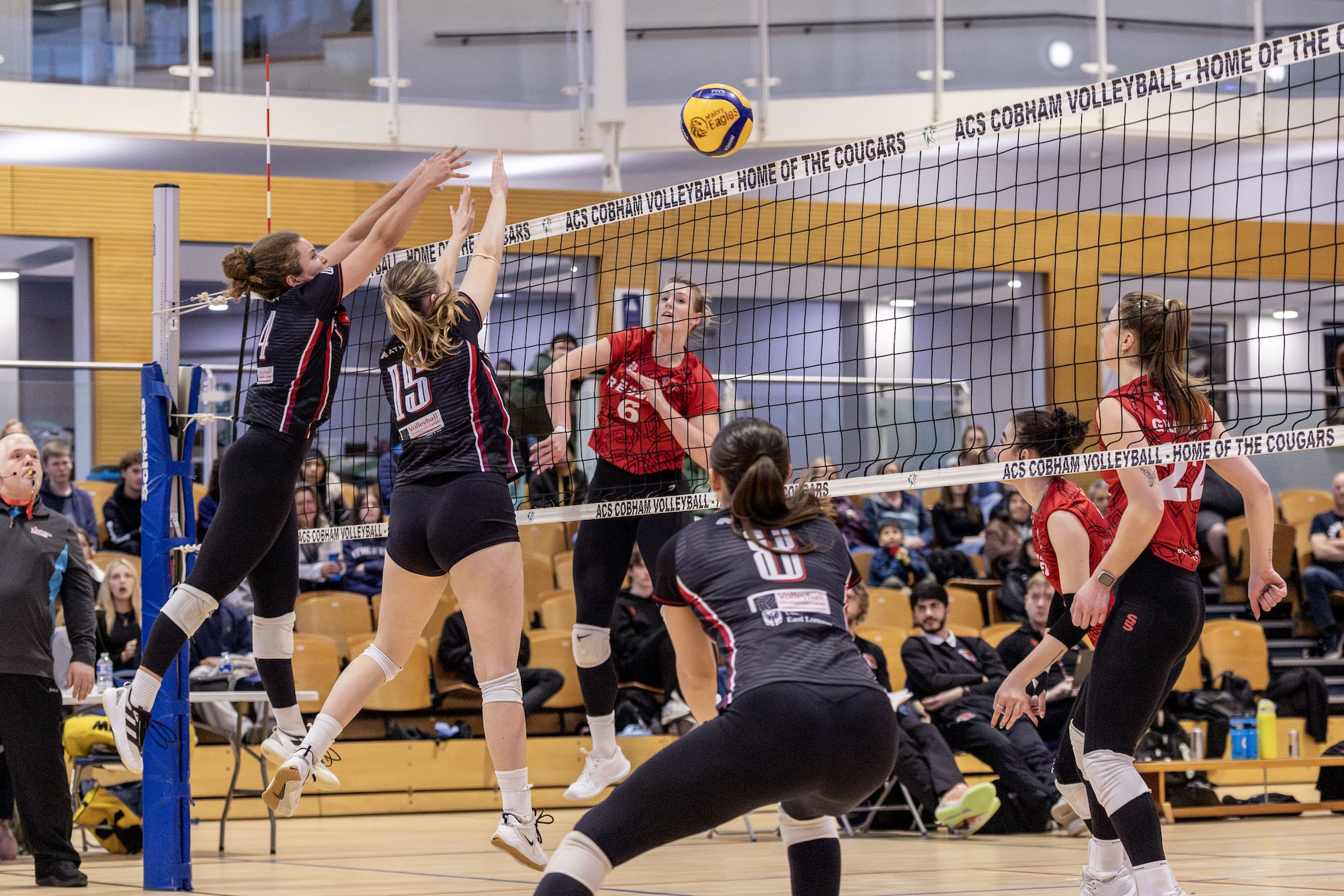 arigreenmedia&mdash;21