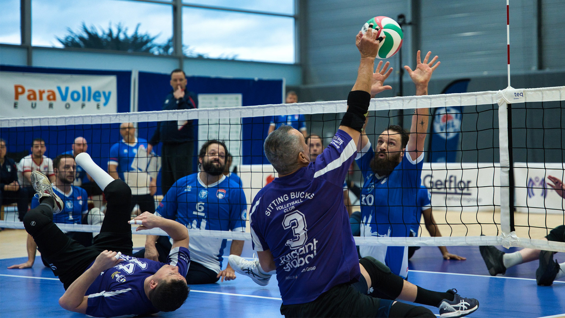 Sitting Bucks Europe