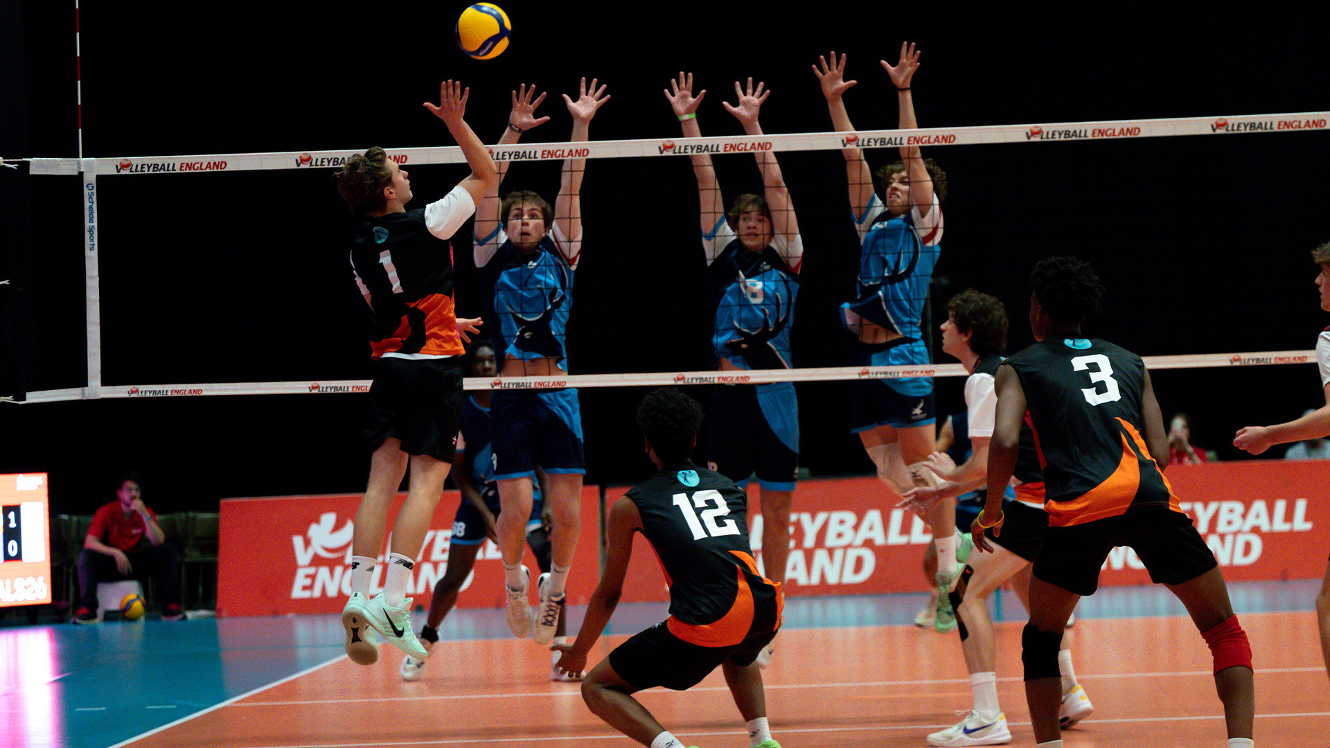 Leeds Gorse landscape