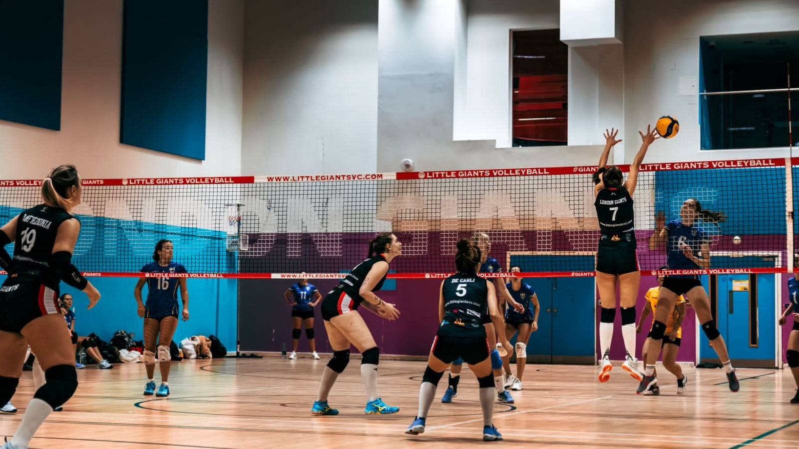 NVL preview 20th and 21st January