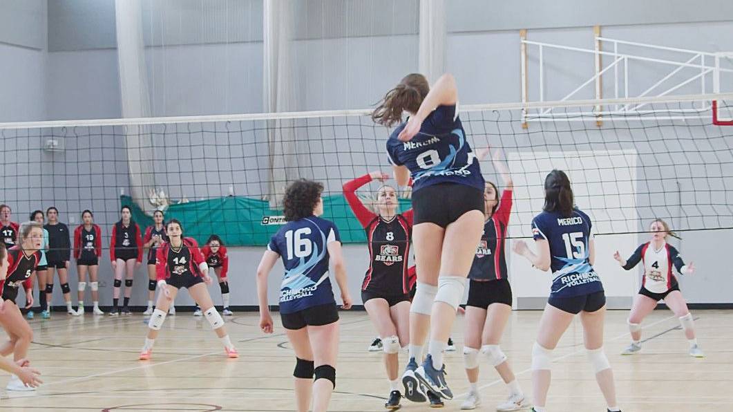 NVL Preview 3rd and 4th February