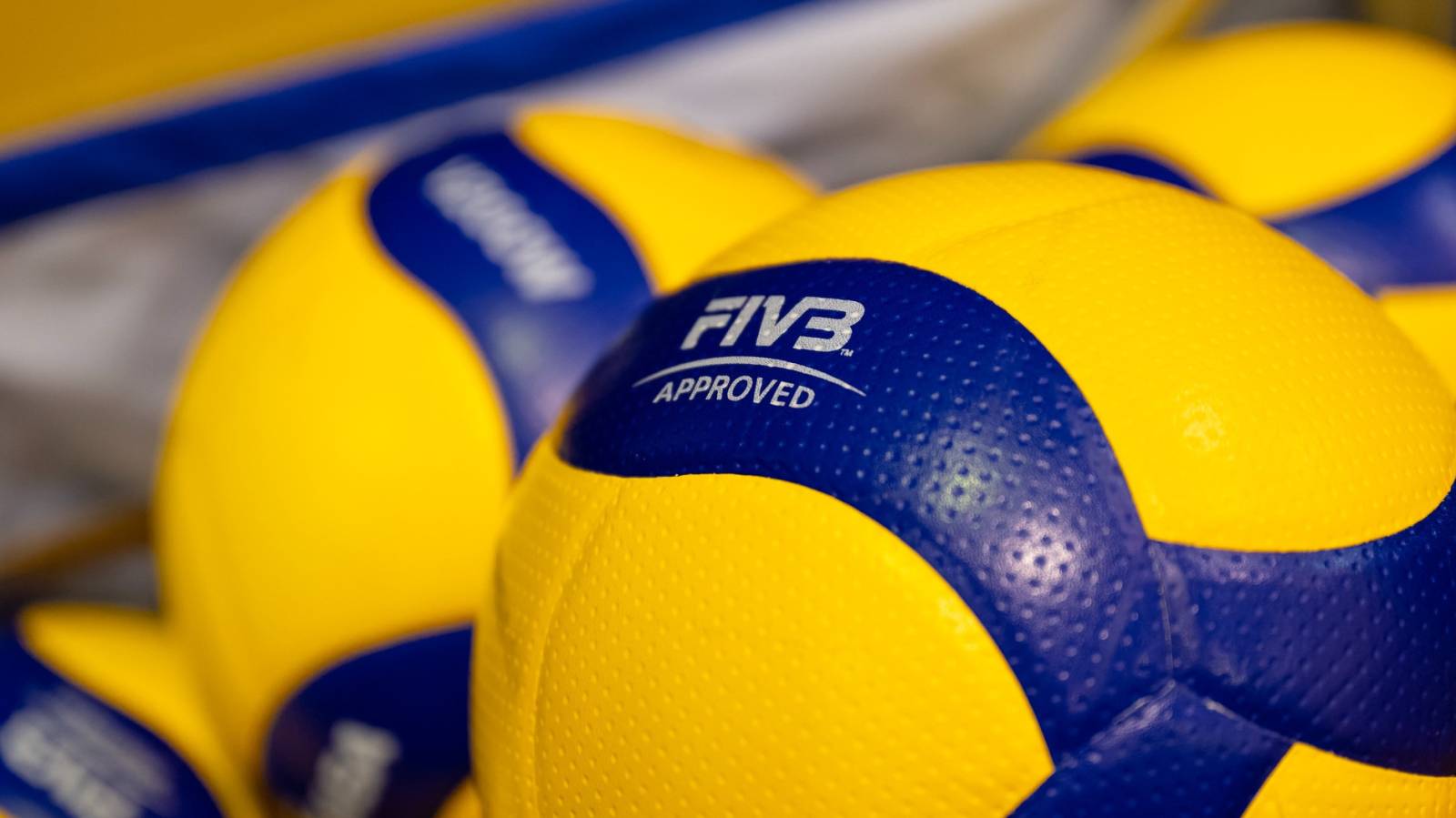 Role vacancies: Safeguarding Technical Advisors