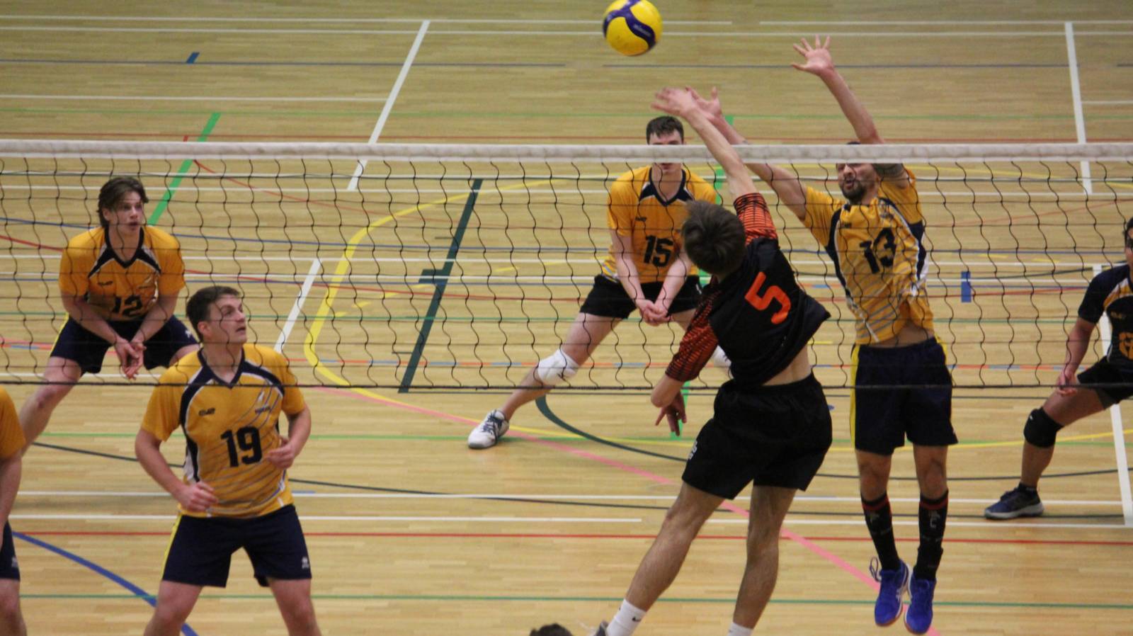 NVL newcomers part three – Telford