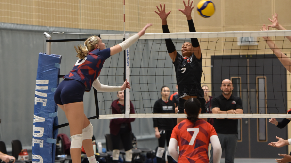 National Cup and Shield preview (14th and 15th February) – Heavyweights Rebels and Polonia clash as Wessex eye upset 